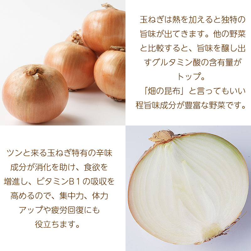 玉ねぎ特徴01