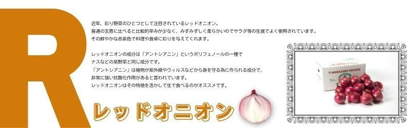 たまねぎ