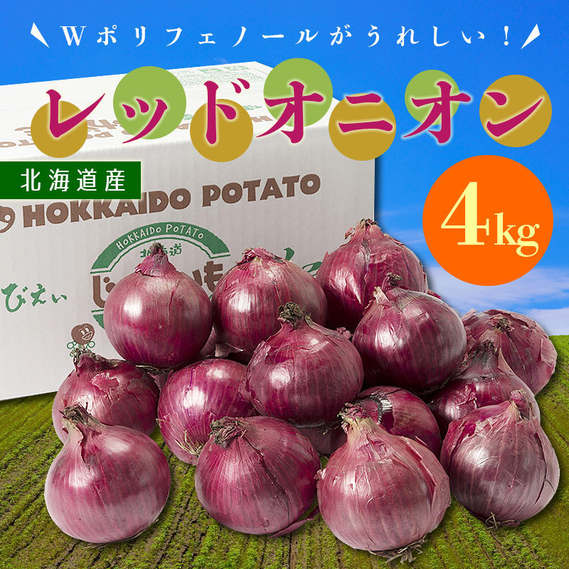 レッドオニオン 4kg