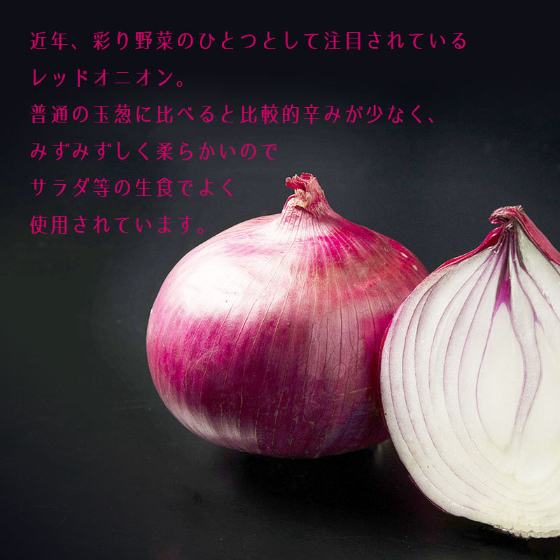 レッドオニオン