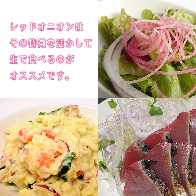 レッドオニオン