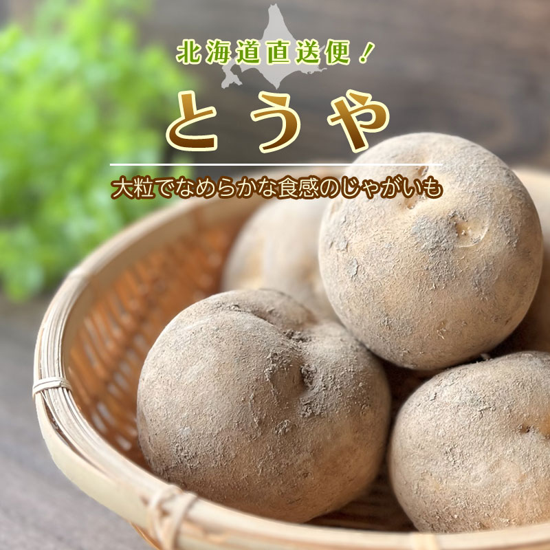 北海道直送「とうや」