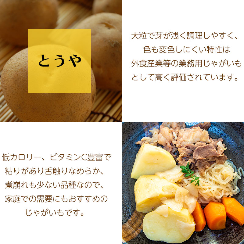 とうや特徴01