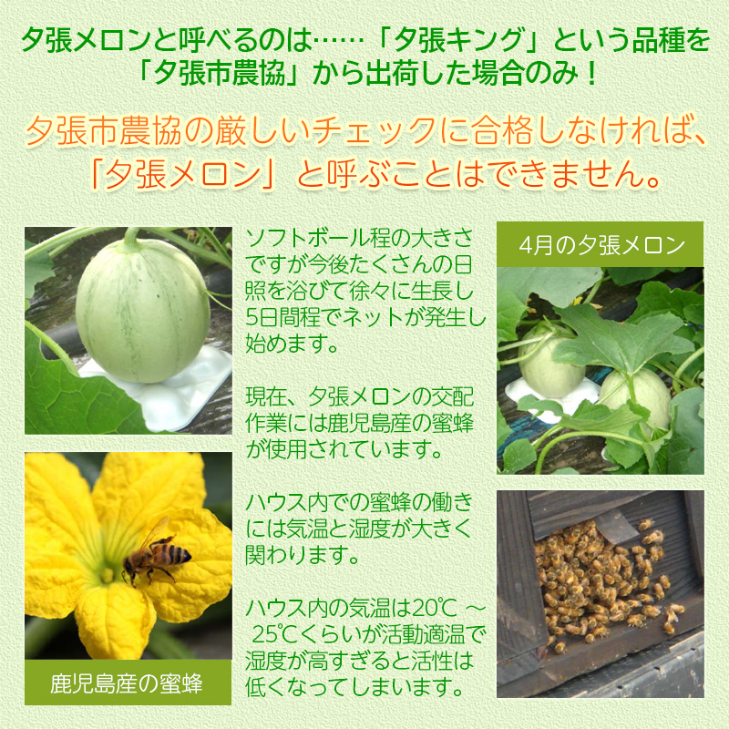 夕張メロン