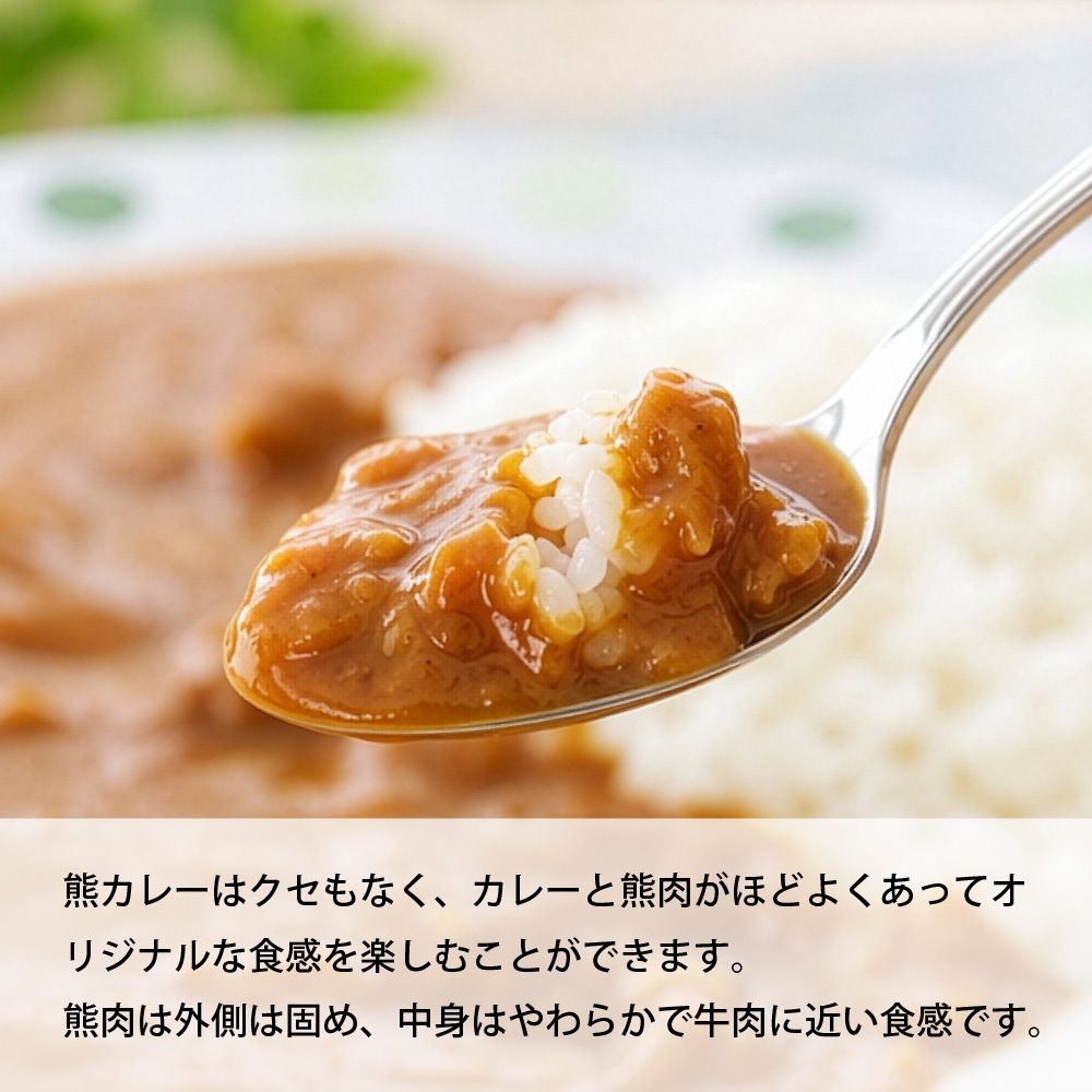 ジビエ ギフト 熊カレー 辛口 1個 北都 北海道 お土産 ご当地 北海道