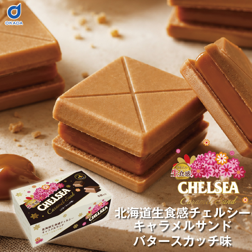 道南食品 チェルシー キャラメルサンド バタースカッチ味 6入 北海道産