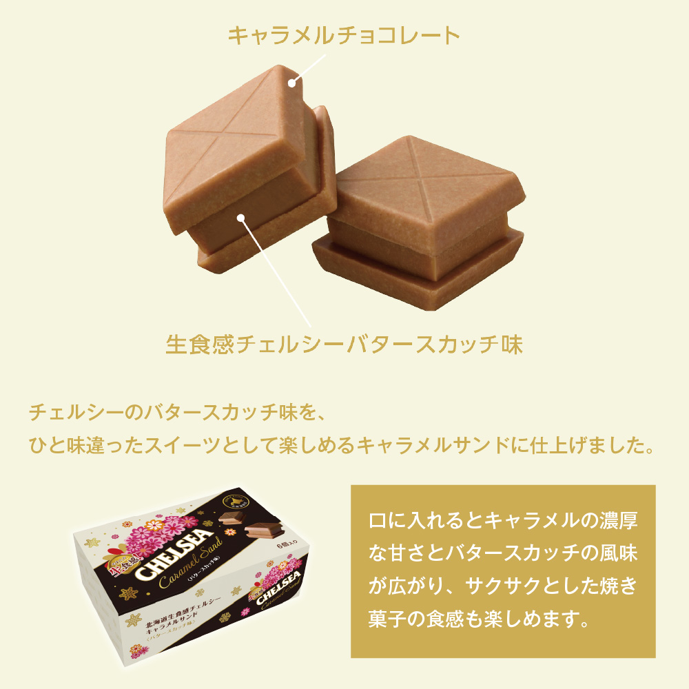 道南食品 チェルシー キャラメルサンド バタースカッチ味 6入 北海道産