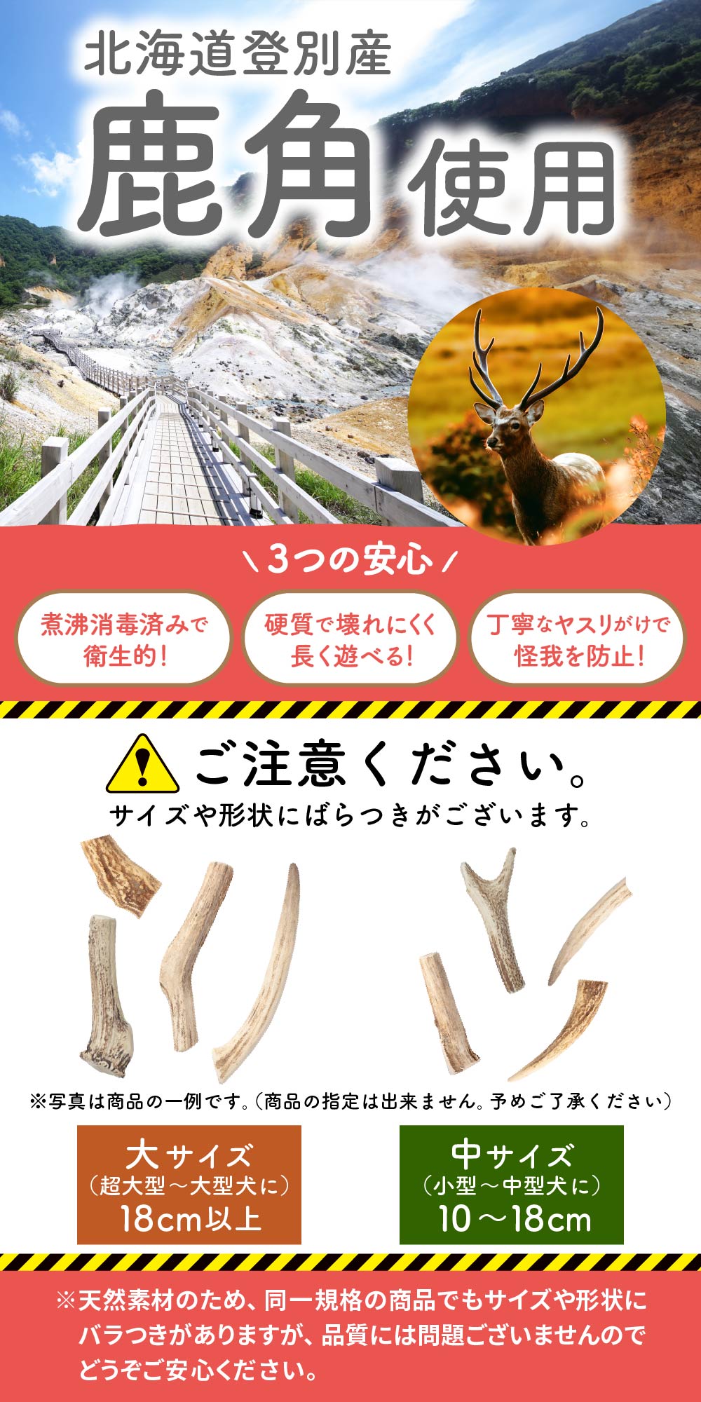 鹿角 犬 エゾシカ 北海道 大サイズ（超大型〜大型犬に）18cm以上
