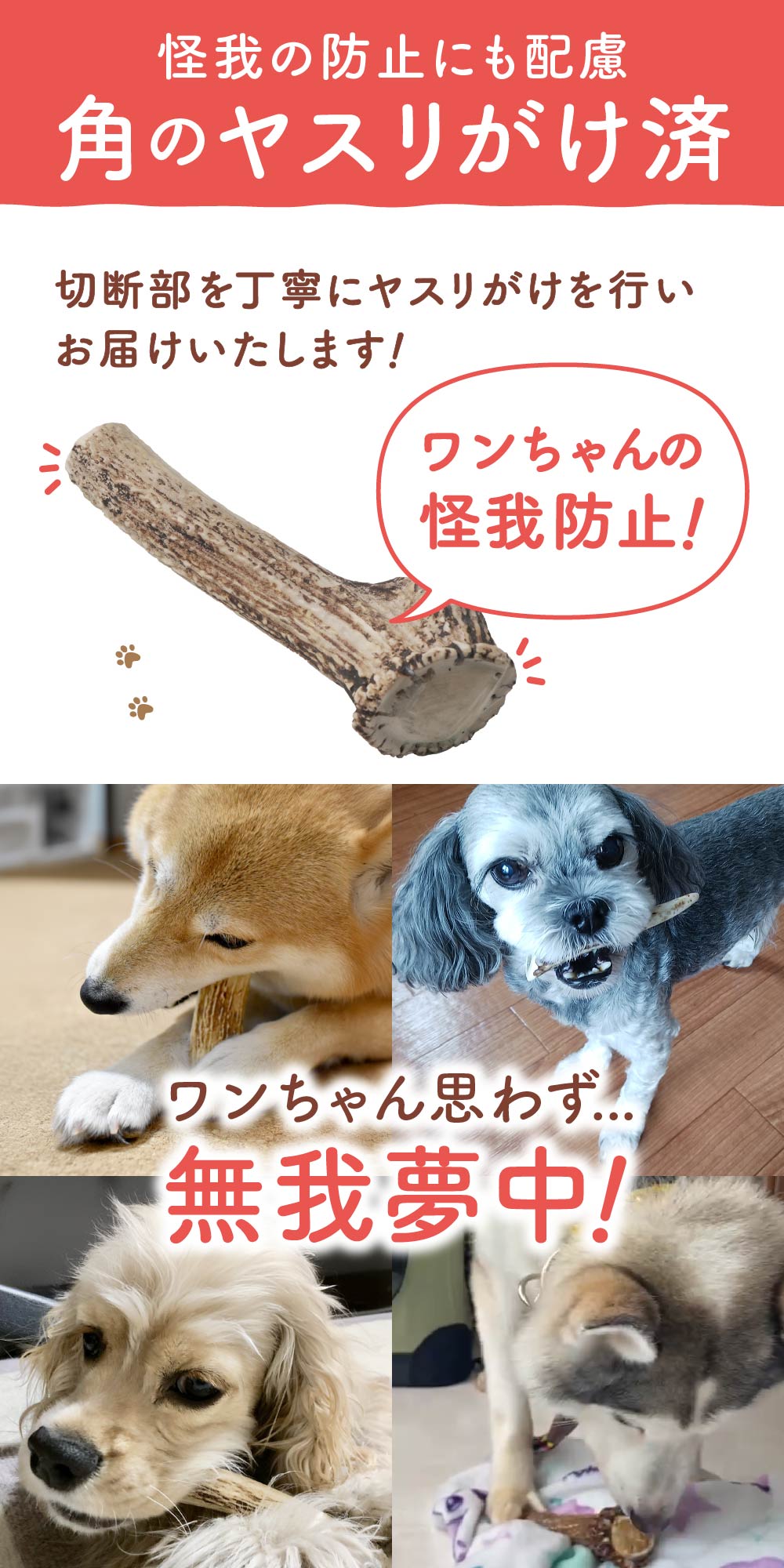 北海道蝦夷鹿角 Hikari 鹿の角小物セット（いずれか3点） [加藤樹石苑 北海道 歌志内市