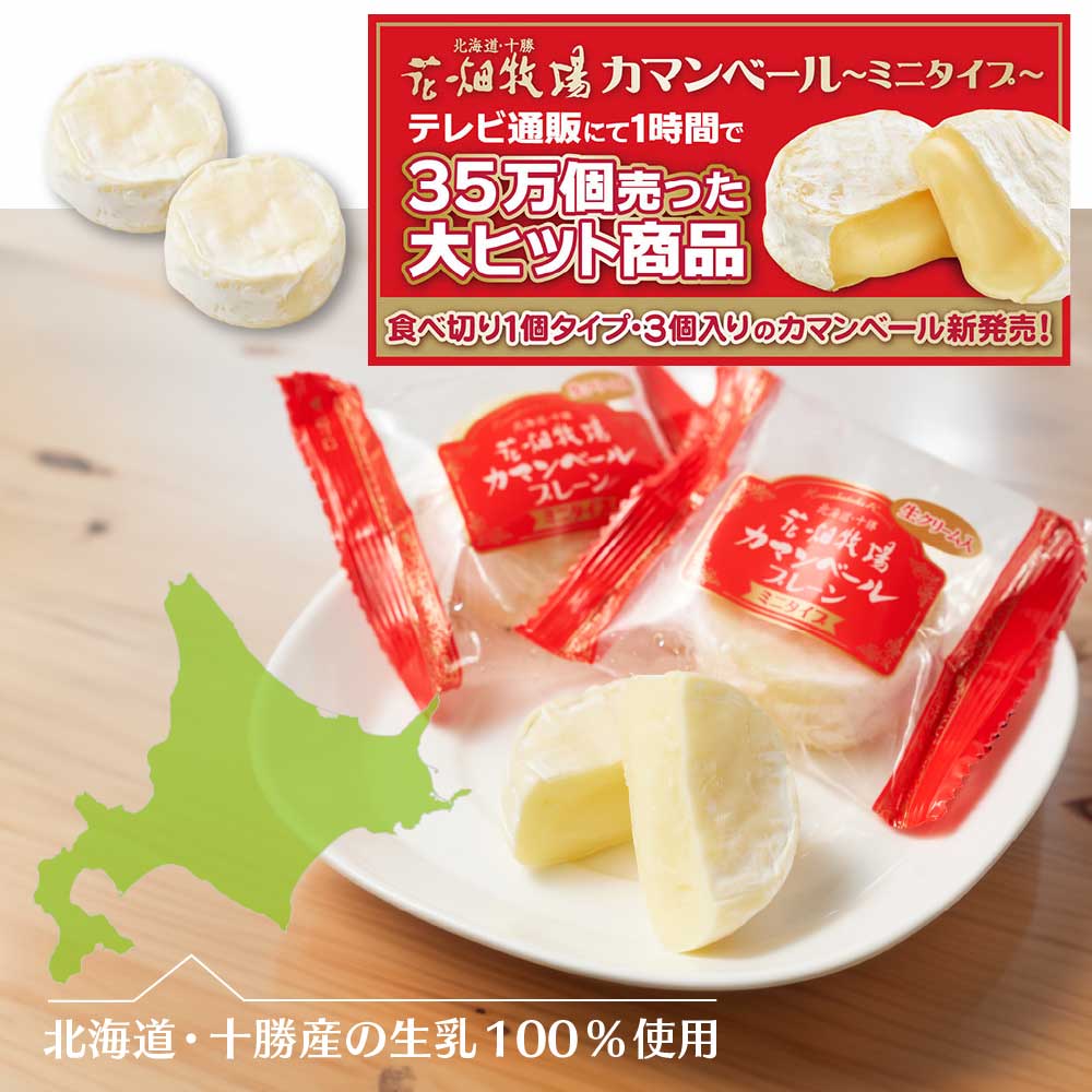 花畑牧場 カマンベール プレーン ミニタイプ 3個入 チーズ 北海道 お