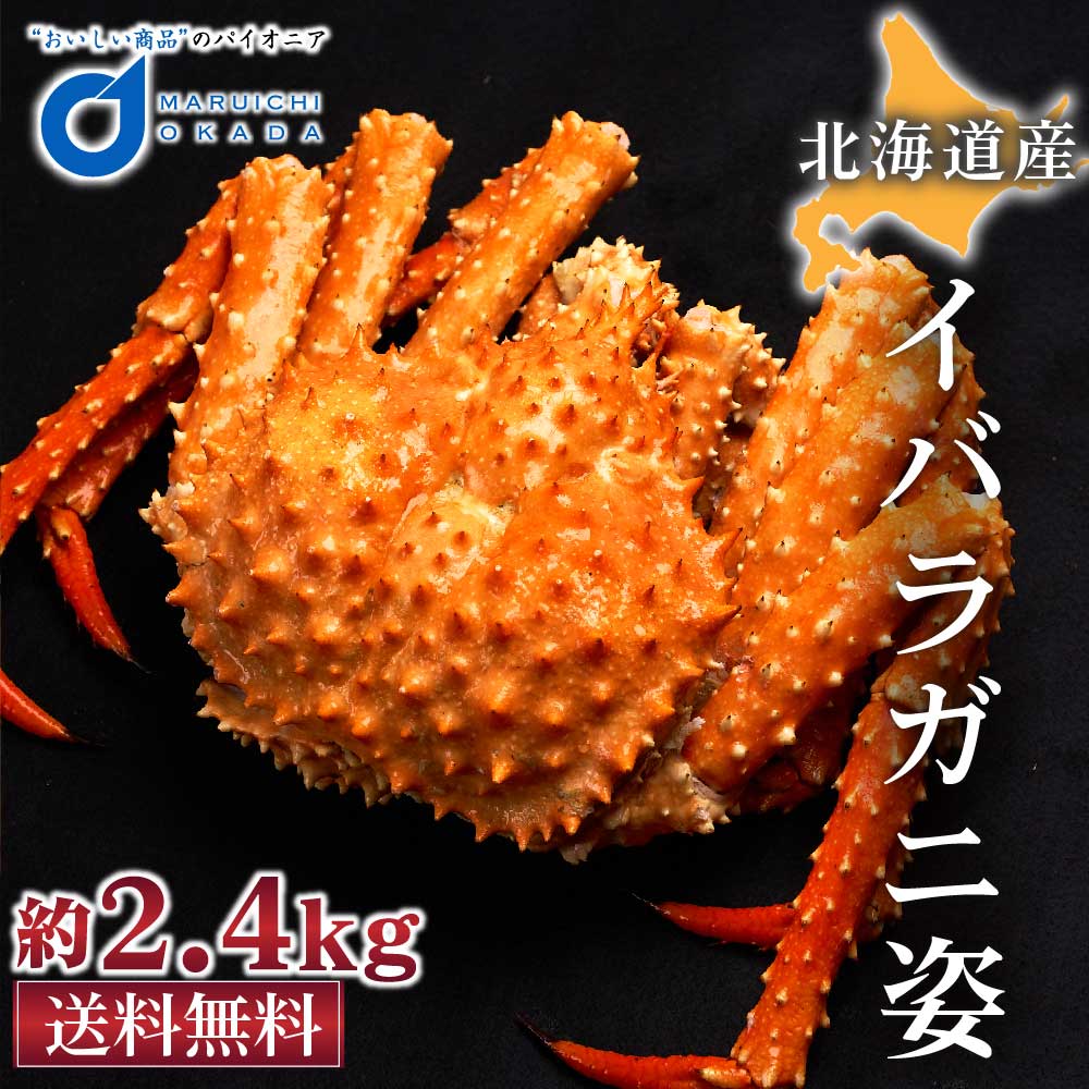 イバラガニ 姿 2.4kg前後 北海道産 いばらがに タラバガニ科 カニ かに 海鮮ギフト ギフト かに鍋 札幌場外市場 グルメ 敬老の日 ギフト  プレゼント : ibaragani-2-4kg : 北海道お土産ギフト岡田商店 - 通販 - Yahoo!ショッピング