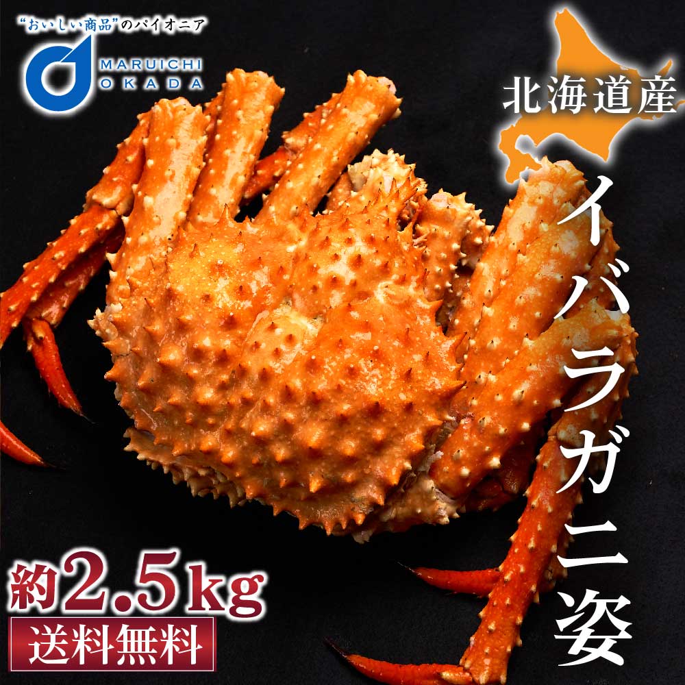 イバラガニ 姿 2.5kg前後 北海道産 いばらがに タラバガニ科 カニ かに 海鮮ギフト ギフト かに鍋 札幌場外市場 グルメ ハロウィン お歳暮  御歳暮 : ibaragani-2-5kg : 北海道お土産ギフト岡田商店 - 通販 - Yahoo!ショッピング