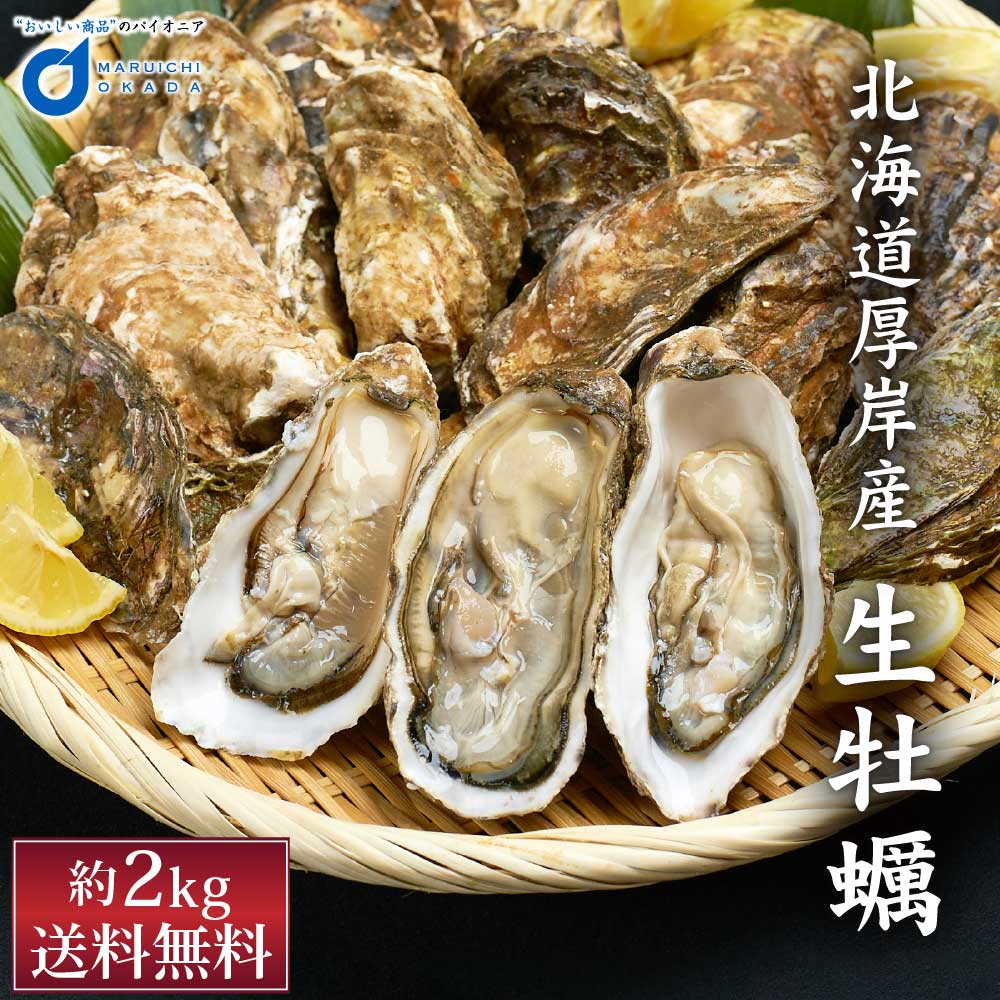 なのchan　真牡蠣10kg＋2kg増量　計12kg 牡蠣 生食用 殻付き 12kg 60〜100個 かき カキ 生牡蠣 宮城県産
