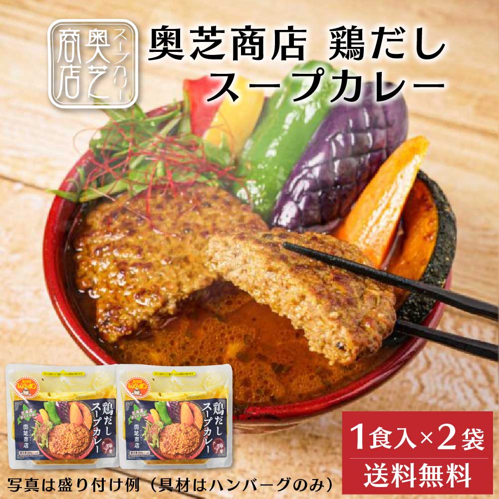 奥芝商店 鶏だしスープカレー【1人前 300g】× 2袋セット ハンバーグ 