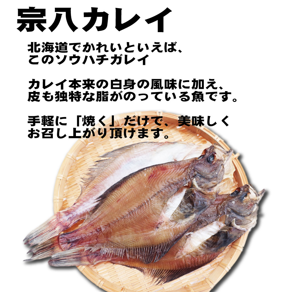 送料無料 北海道産 宗八カレイ 3枚セット カレイ かれい 干物 おつまみ 開き 一夜干し グルメ 食品ロス お歳暮 御歳暮  :genki-sohati3set:北海道お土産ギフト岡田商店 - 通販 - Yahoo!ショッピング