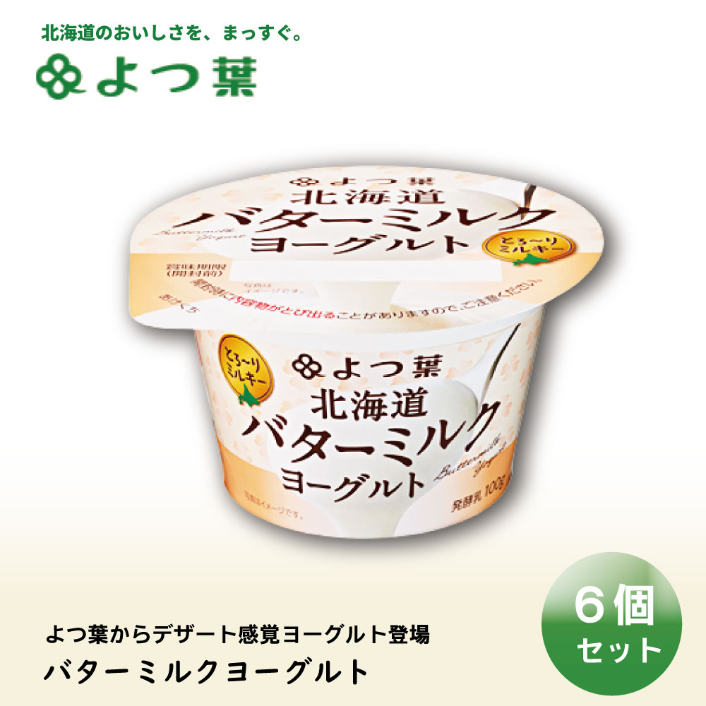 2797円 ブランド激安セール会場 よつ葉北海道バターミルクパウダー 1kg x6個セット