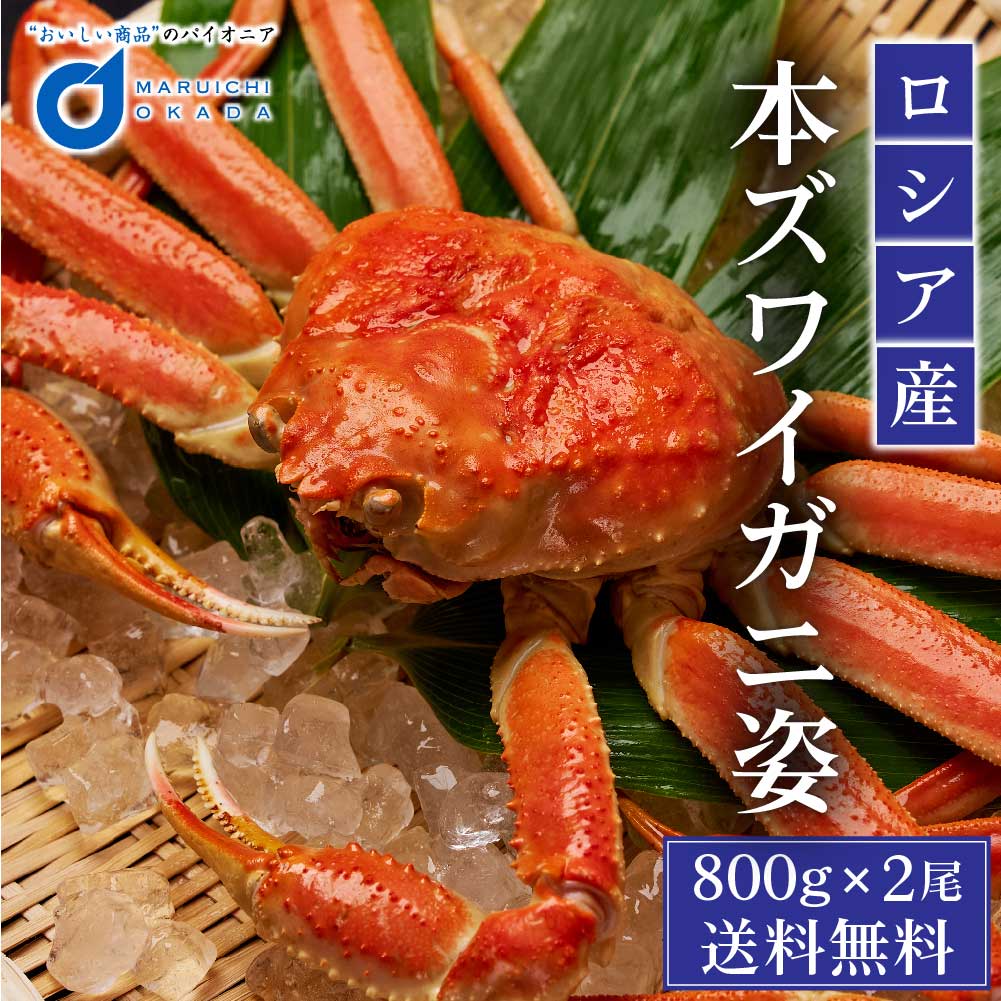 新到着 超特大 本ズワイガニ姿 900g〜1kg 2尾セット - 魚介類(加工食品) - hlt.no