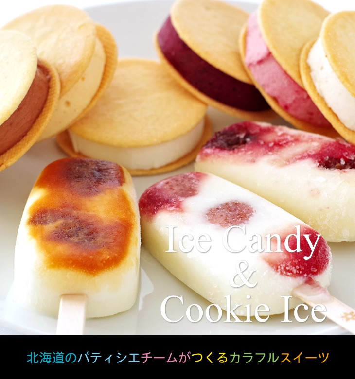 CANDICE クッキーアイス6種とアイスキャンディー3本セット ギフト プチ