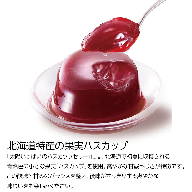 太陽いっぱいゼリー詰合せ
