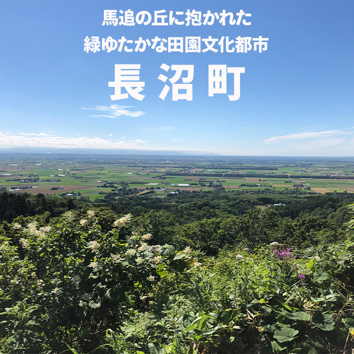 揚げ大豆スナック