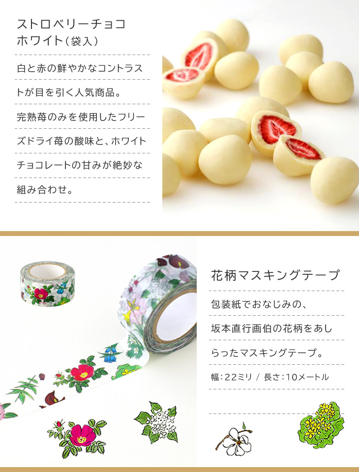 お試し5点セット