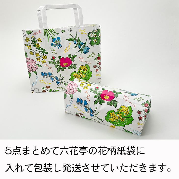 お試し5点セット