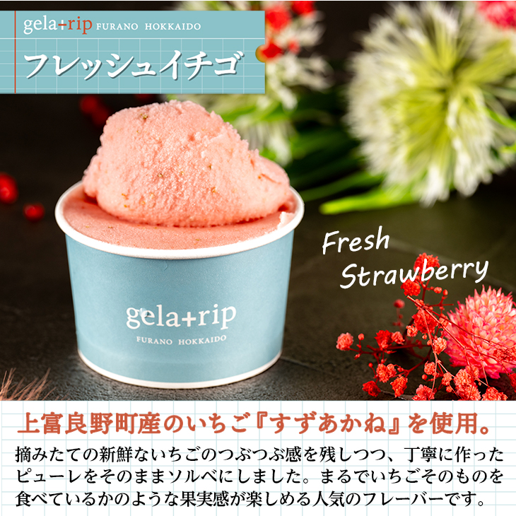 メーカー直送品・送料込 gelatrip ジェラートリップ selection