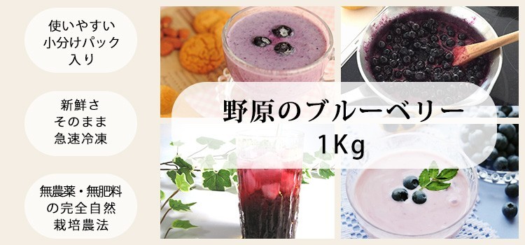完売 ブルーベリー 2025年収穫 冷凍 北海道産 野原のブルーベリー 1kg