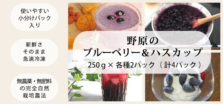 完売 ブルーベリー 2025年収穫 冷凍 北海道産 野原のブルーベリー 1kg