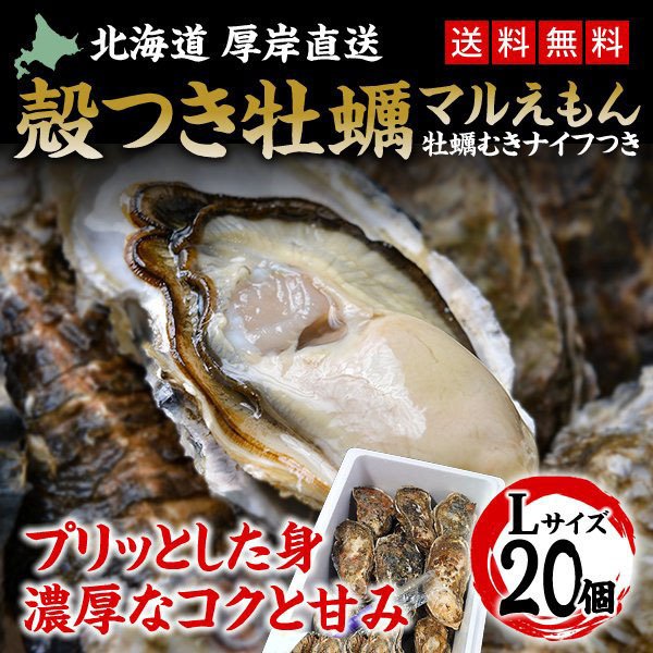 カキ 殻付き 生食用 牡蠣 Lサイズ 20個 北海道 厚岸産 マルえもん お