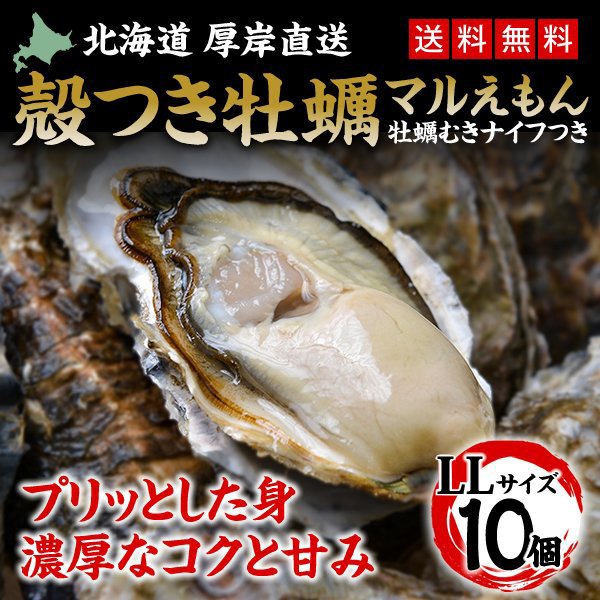 カキ 殻付き 生食用 牡蠣 LLサイズ 10個 北海道 厚岸産 マルえもん お