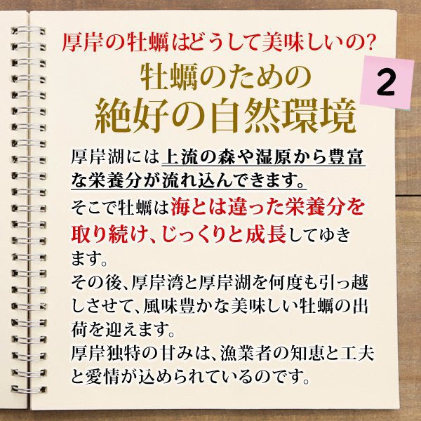 厚岸の牡蠣が美味しい理由 その2