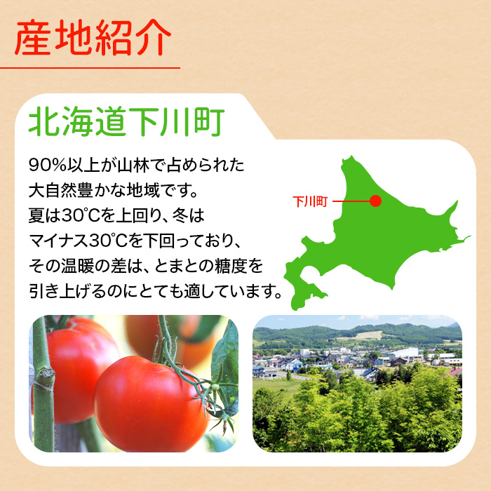 北海道 ミニトマトジュース「カナンの丘の滴」1000ml 6本＋