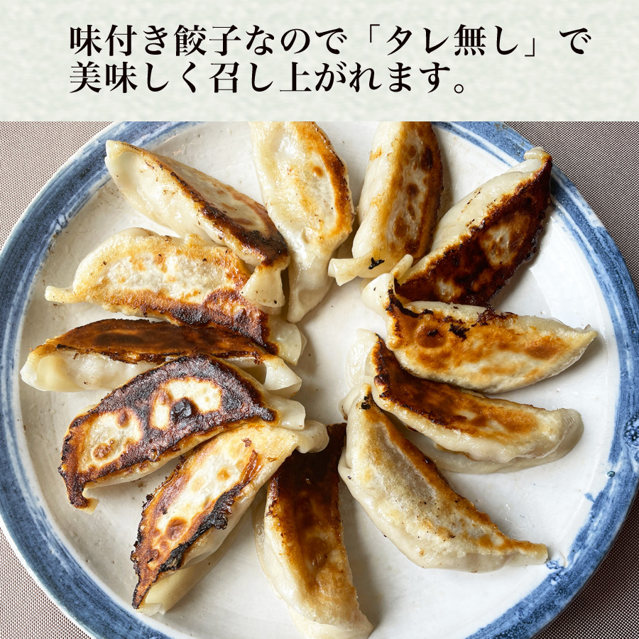 餃子 天のびろく お試セット 2個 北海道産 豚肉100% テレビ放映 餃子 天のびろく お試セット 2個 北海道産 豚肉100% テレビ放映
