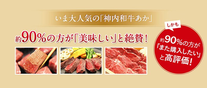 神内和牛あか ステーキ ヒレステーキ 5枚入り 600g 送料無料 工場直送