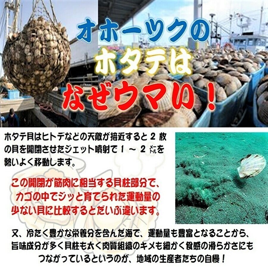 猿払・宗谷産】ホタテ貝柱玉冷300g2箱セット正規品 : 北海道