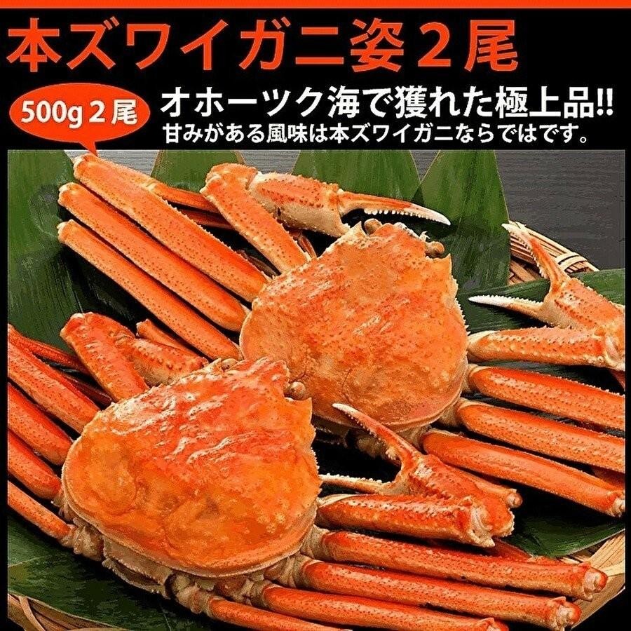 海鮮寄鍋・本ズワイ500ｇ2尾セット : kaisenyosenabe-honzuwaikani