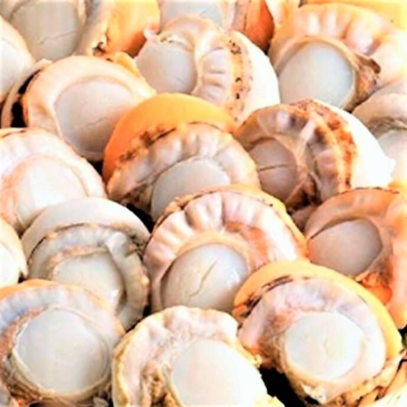 ホタテほたて 帆立 特大ボイルホタテ1.0 kg LLサイズ 18粒前後