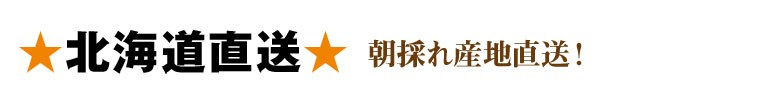 北海道直送　朝採れ産地直送！