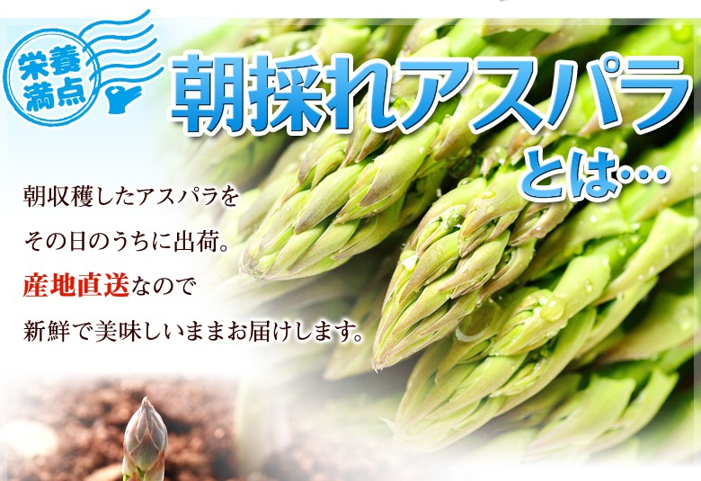 朝採れアスパラとは