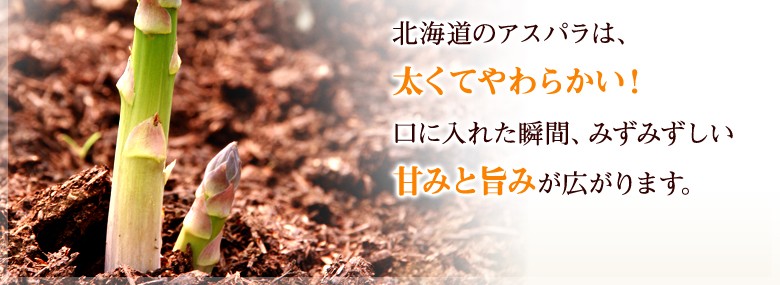 北海道のアスパラは、太くてやわらかい！口に入れた瞬間、みずみずしい甘みと旨みが広がります。