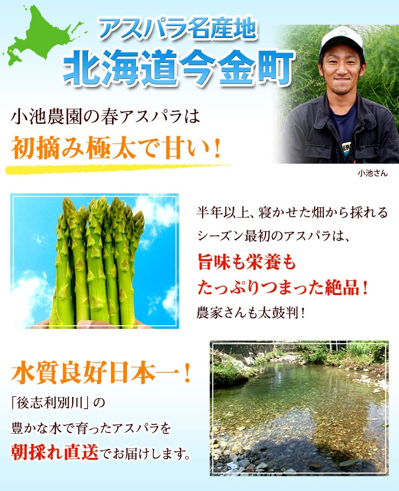 アスパラ名産地　北海道今金町