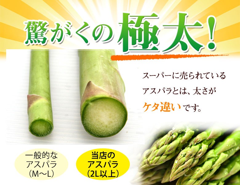 驚がくの極太!