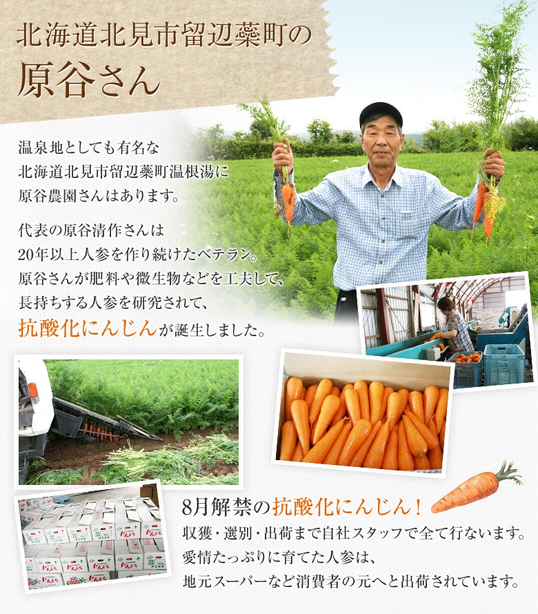 にんじん 10kg 北海道産 訳あり加工用 人参 ニンジン 国産
