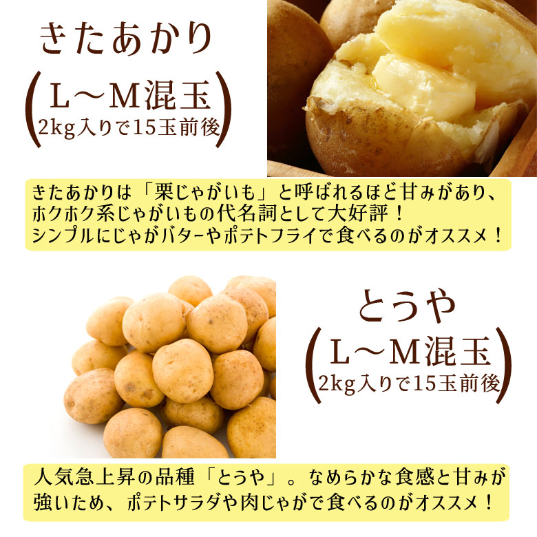 きたあかりとうや