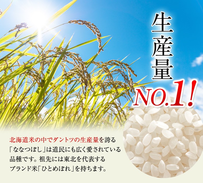 ななつぼし 新米 10kg 令和6年産 北海道産 産地直送 白米 精米