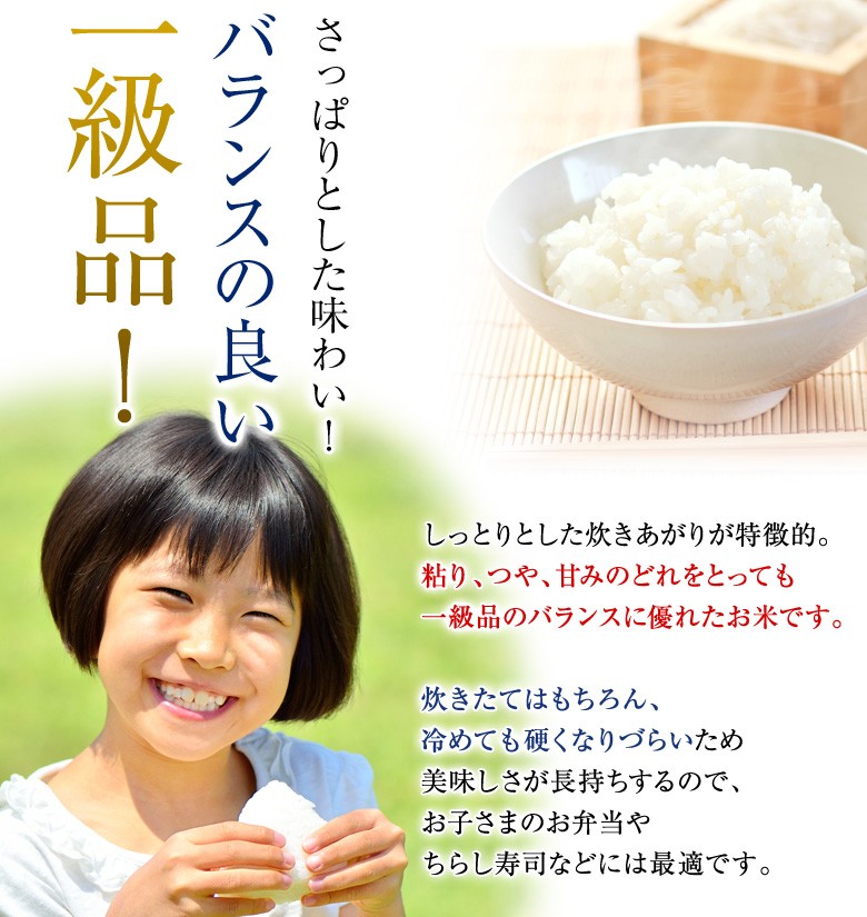 米 5kg 令和5年産 北海道産 ななつぼし 産地直送 白米 精米 コメ お米 特A受賞 上士別 水留農場 送料無料｜hokkaimaru｜05