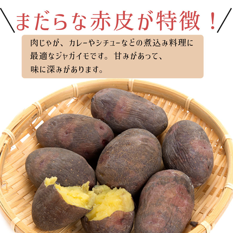 じゃがいも 北海道 グラウンドペチカ 変わった品種 送料無料 5ｋｇ