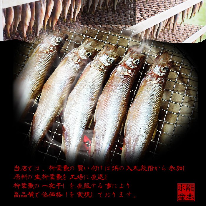 送料無料】北海道（広尾産）ししゃも 大メス20尾 大オス20尾の夫婦