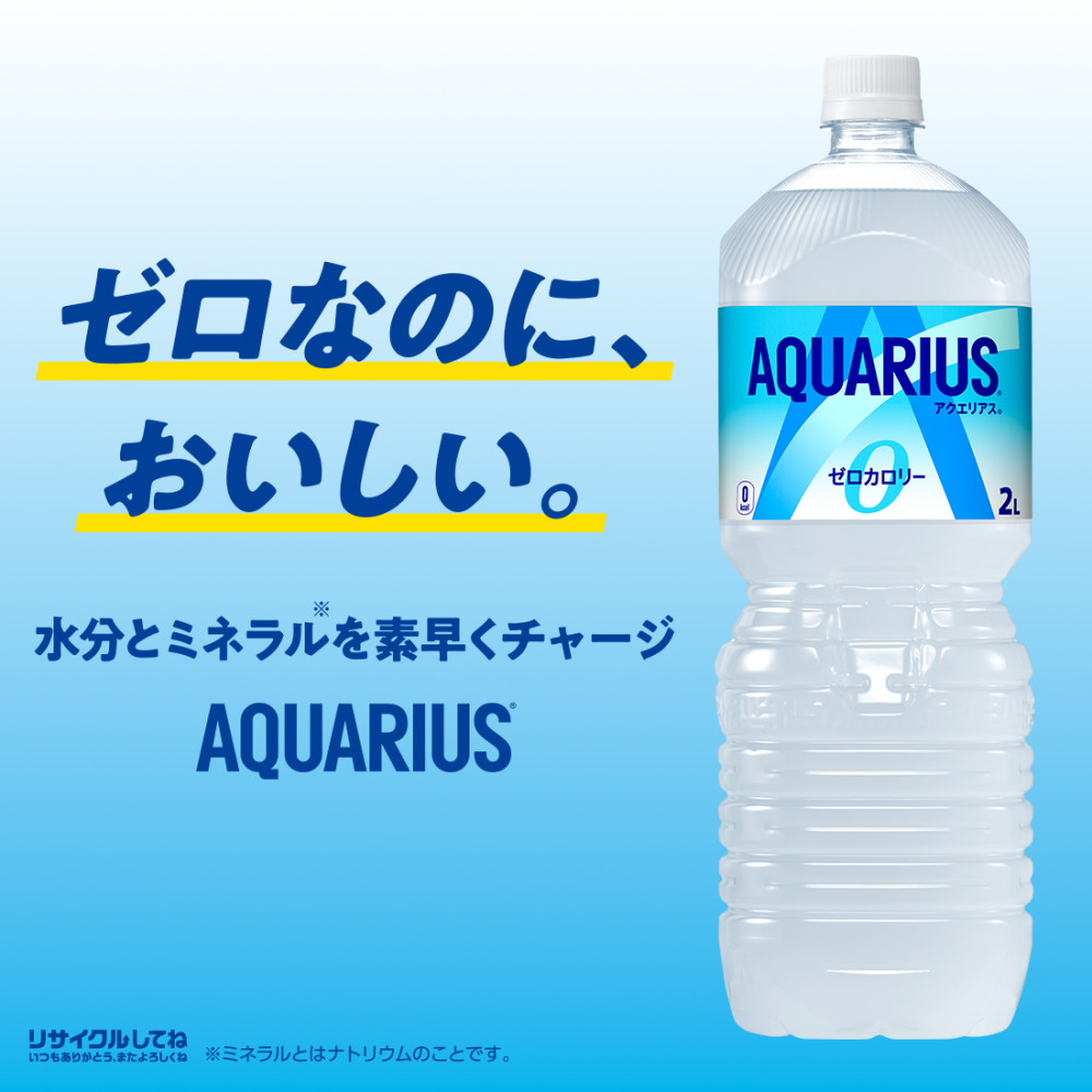 アクエリアス コカコーラ ゼロ 2L 12本(6本×2ケース) 送料無料